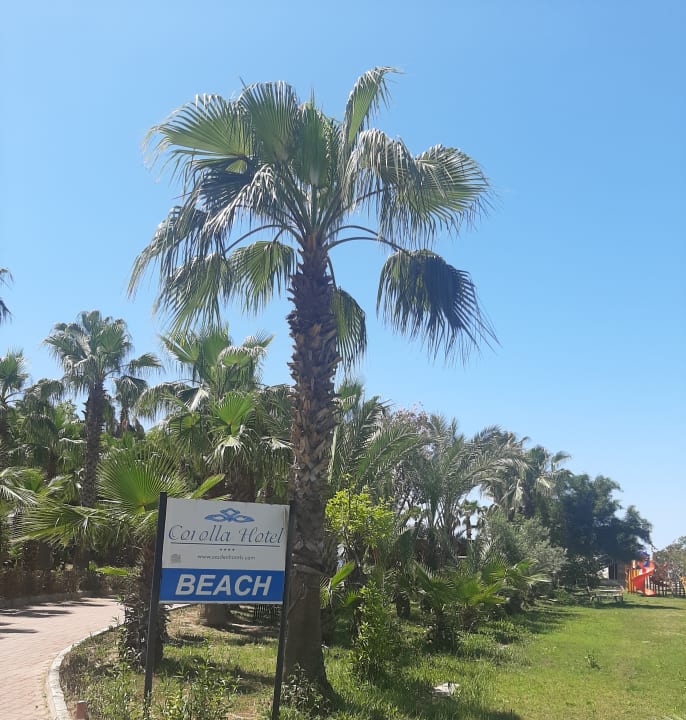 Garten Seaden Corolla Hotel