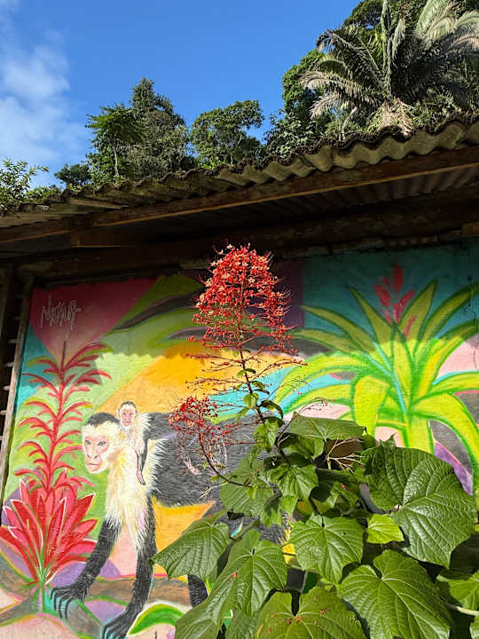 Gartenanlage Morromico