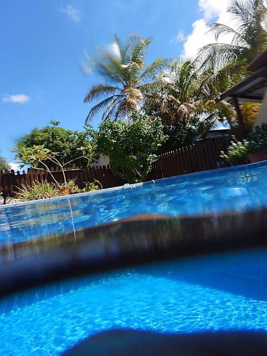 Pool Hotel Cecil Paradise