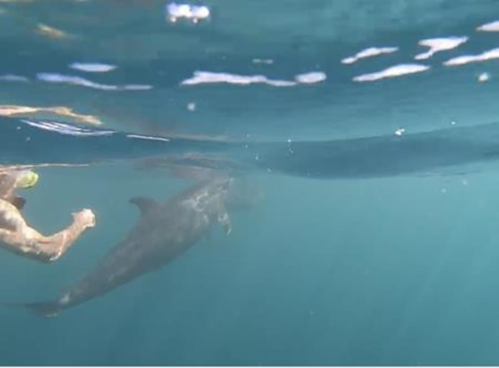 Strand Mövenpick Resort El Quseir