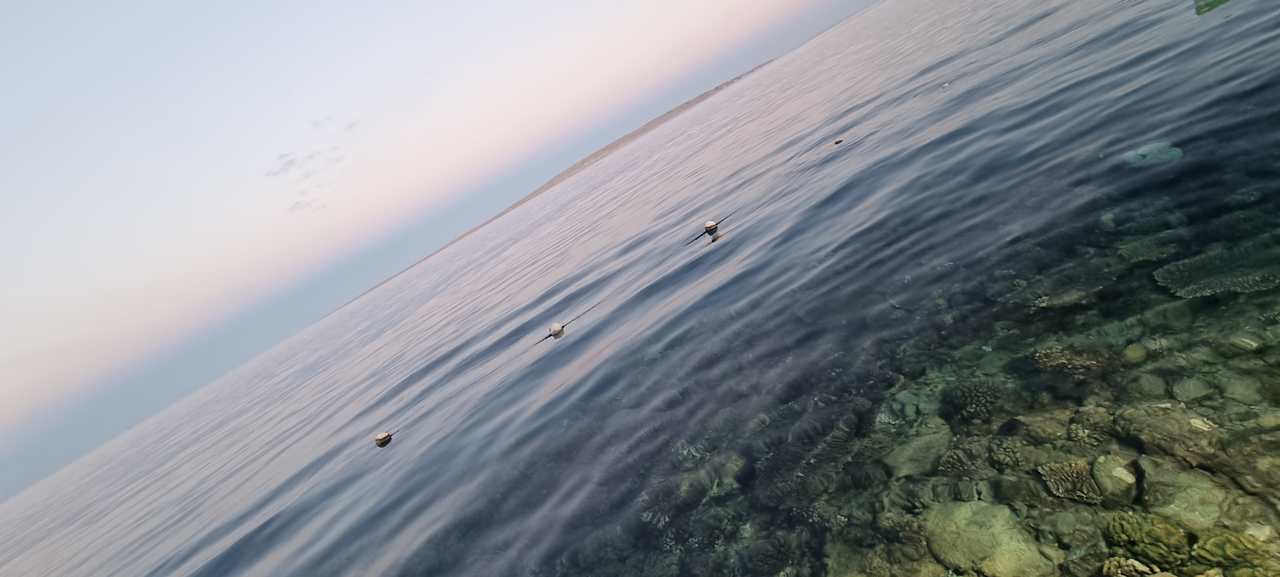 Strand Arabella Azur Resort