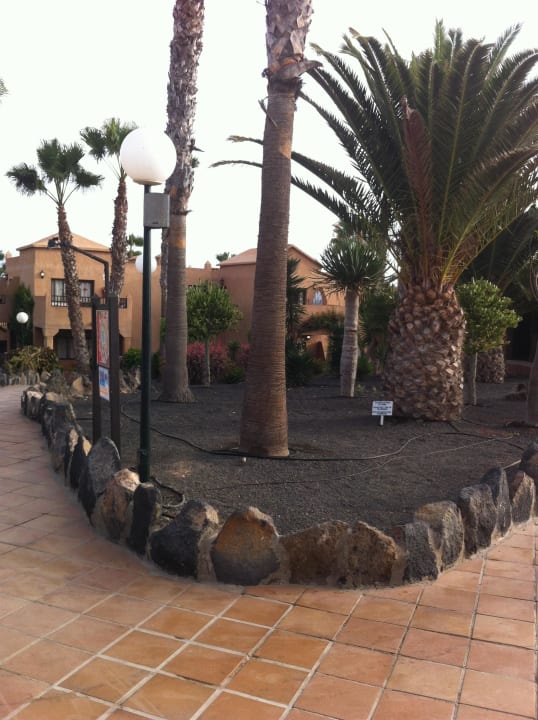 Garten Hotel Oasis Dunas
