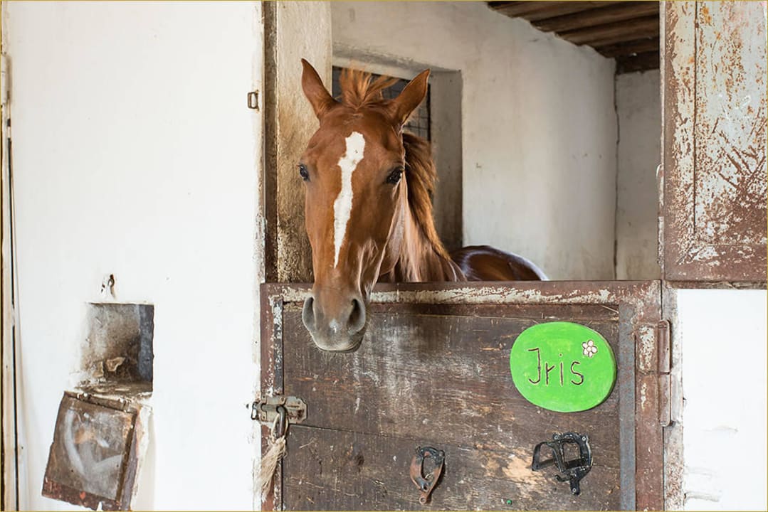 Rundgang per FotoShooting Sommer 2015 Hotel Reiterhof Altmühlsee