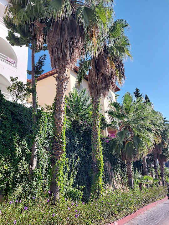 Strand Senza Garden Holiday Club