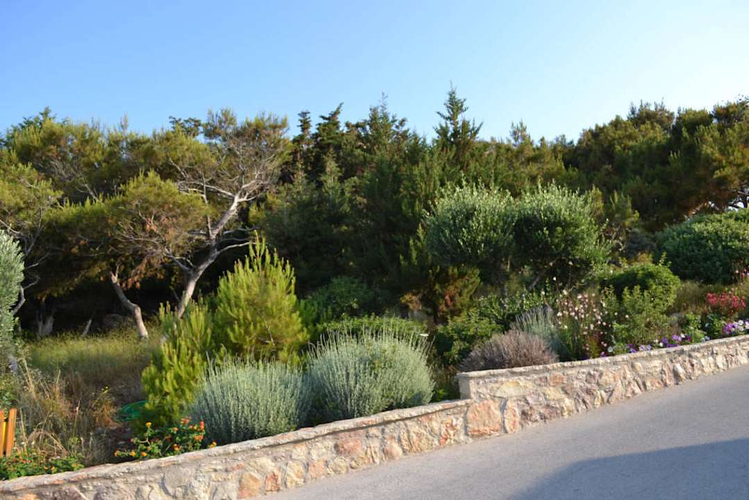 Wygląd zewnętrzny hotelu Hotel Kalithea Horizon Royal