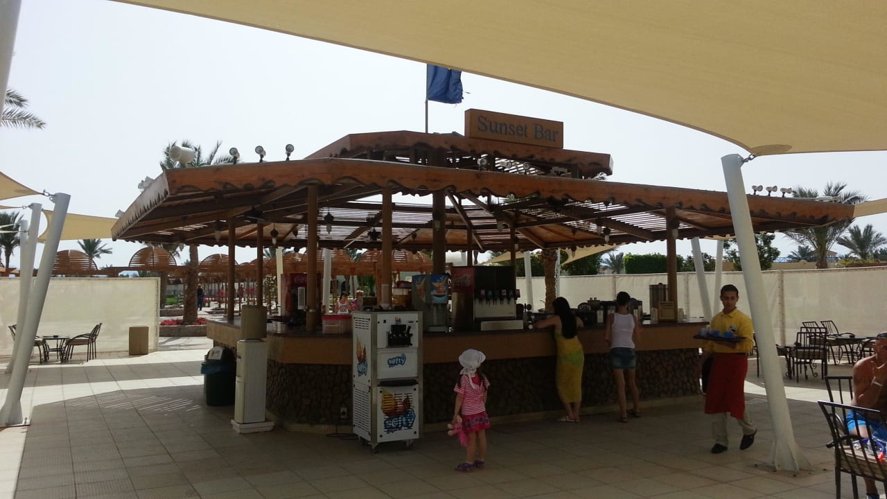 Sunset Bar Desert Rose