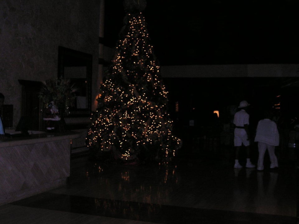 Weihnachtsbaum Grand Palladium Select Bávaro Resort & Spa