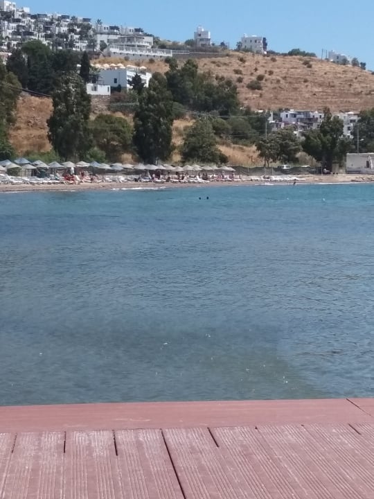 Strand Golden Beach Bodrum