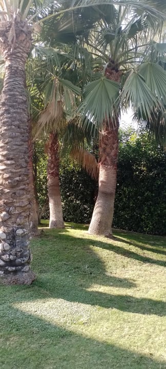 Gartenanlage DoubleTree by Hilton Antalya-Kemer