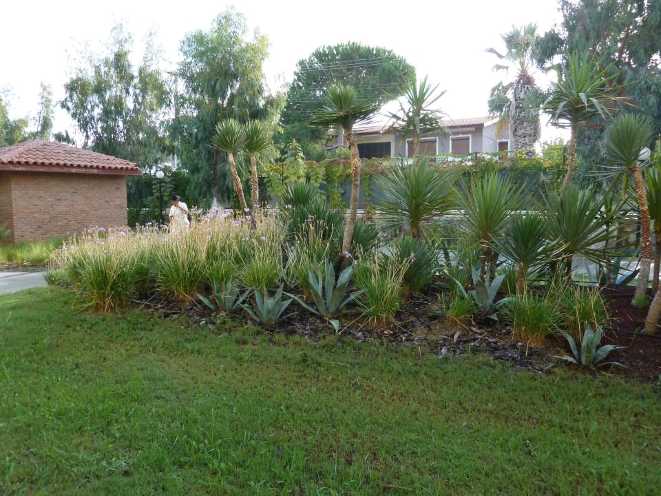 Vor dem Zimmer Ephesia Holiday Beach Club