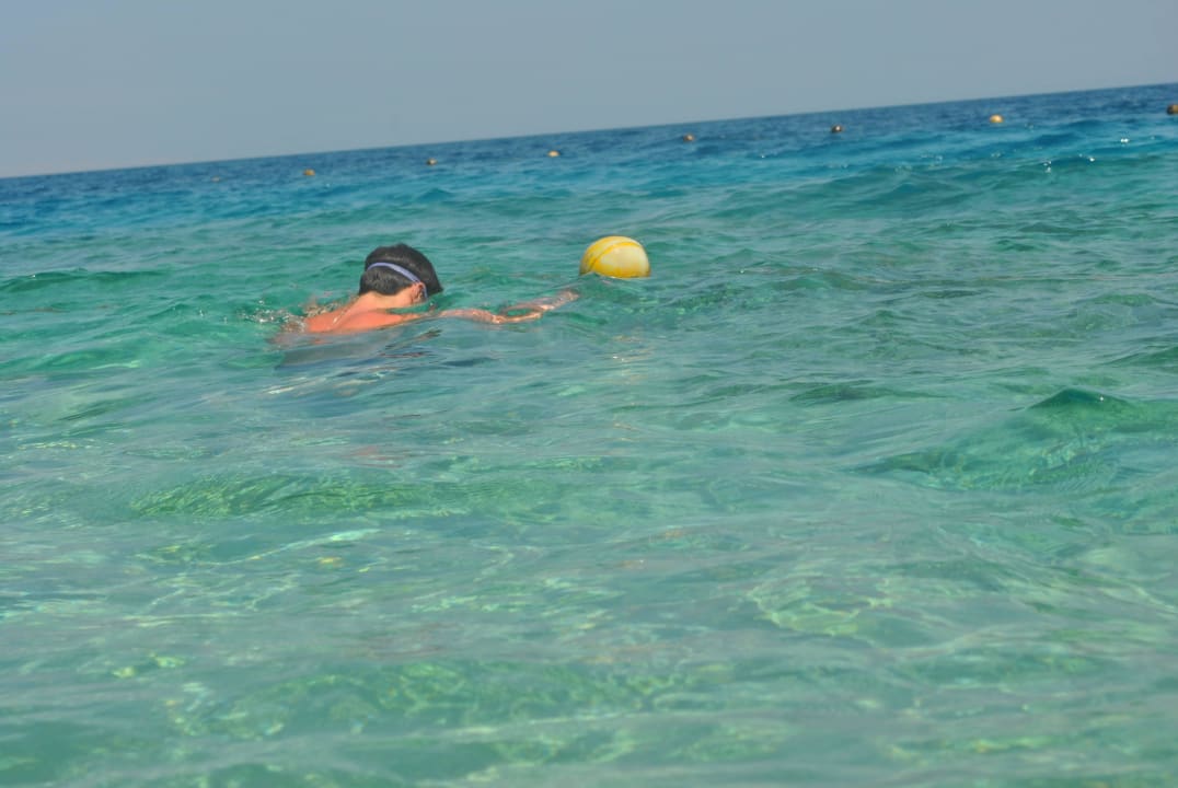 Можно увидеть подводный мир Hotel Titanic Palace