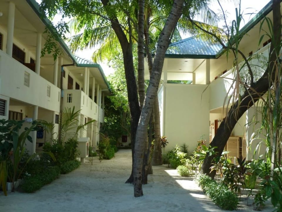 Weg zwischen Standard und Beach Club Rooms Eri Maldives