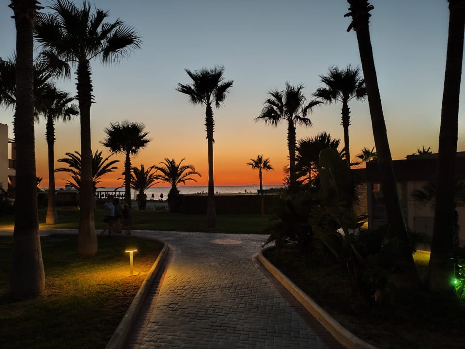 Gartenanlage Hotel Horizon Beach Resort