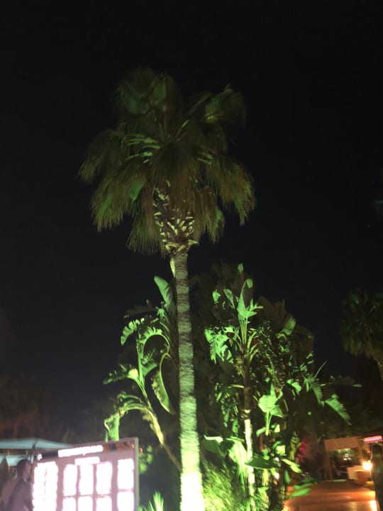 Gartenanlage VONRESORT Golden Coast