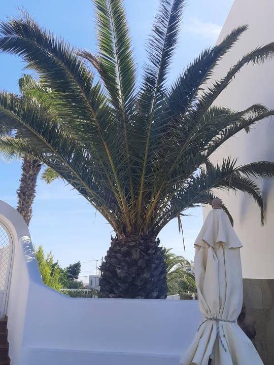 Ausblick Hotel Osiris