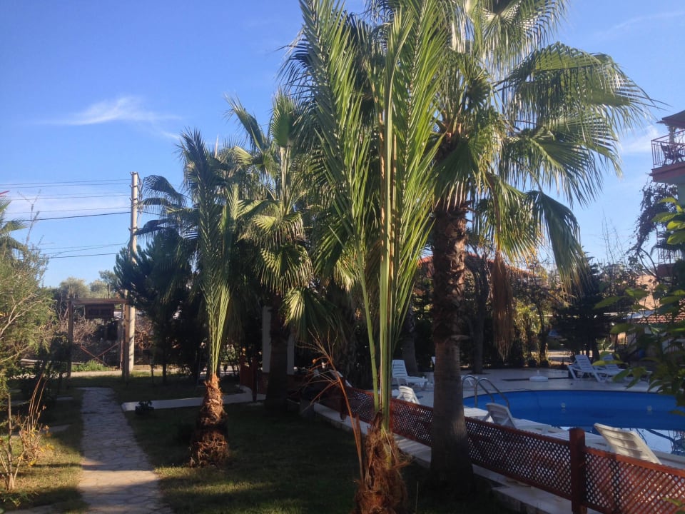 Hotelanlage Hotel Kutle