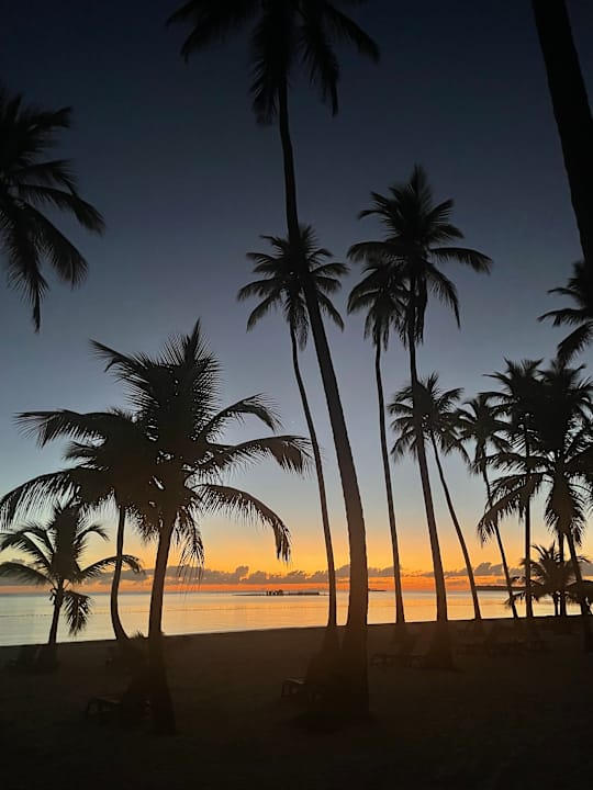 Strand Barcelo Bavaro Beach - Adults only