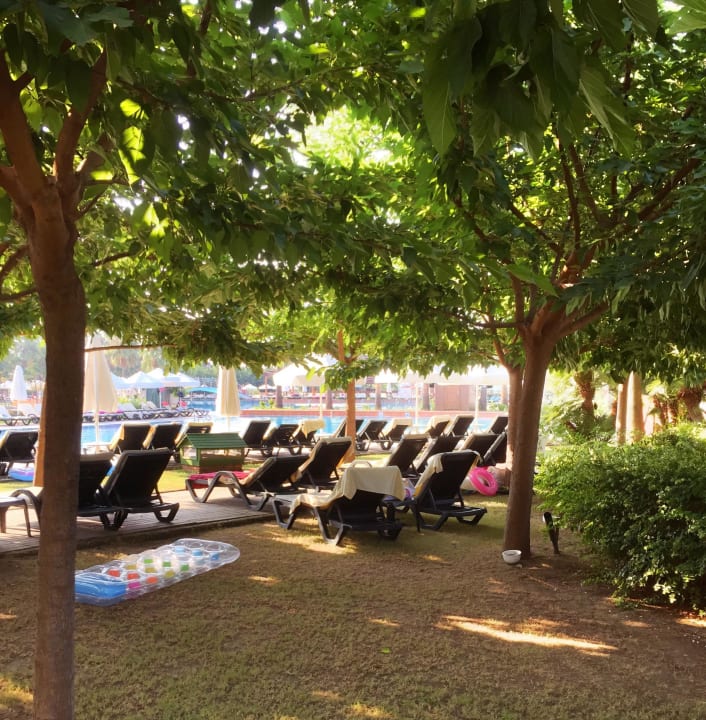 Am Pool unter Bäumen liegen Lara Barut Collection