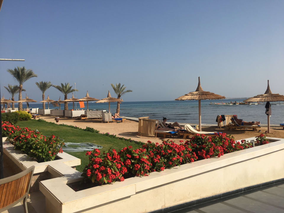 Restaurant Beach Albatros Resort