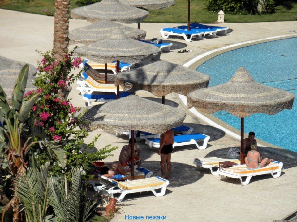 Новые лежаки у бассейна Pyramisa Beach Resort Sahl Hasheesh