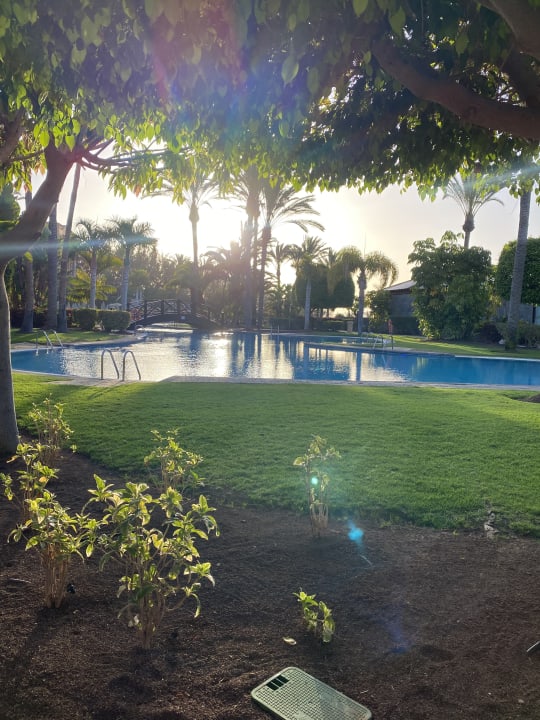 Pool R2 Rio Calma Hotel & Spa & Conference