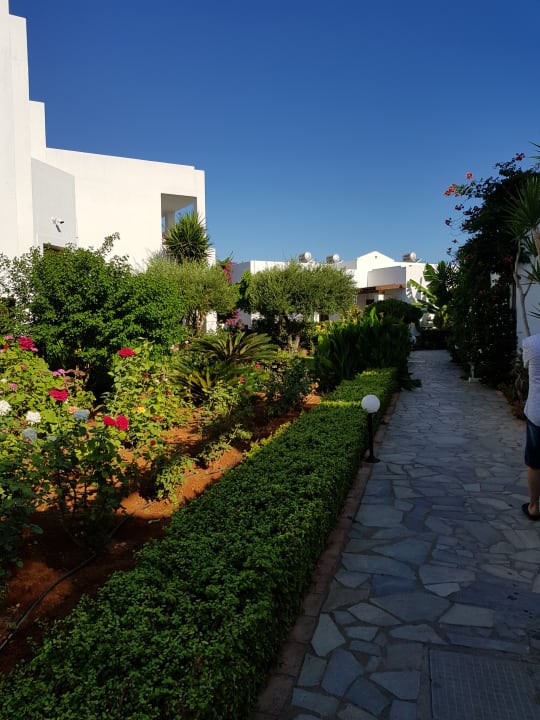 Gartenanlage Maritimo Beach Hotel