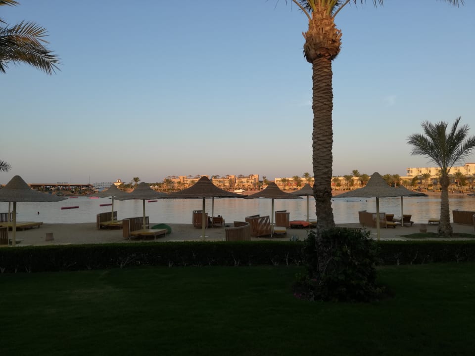 Ausblick Desert Rose