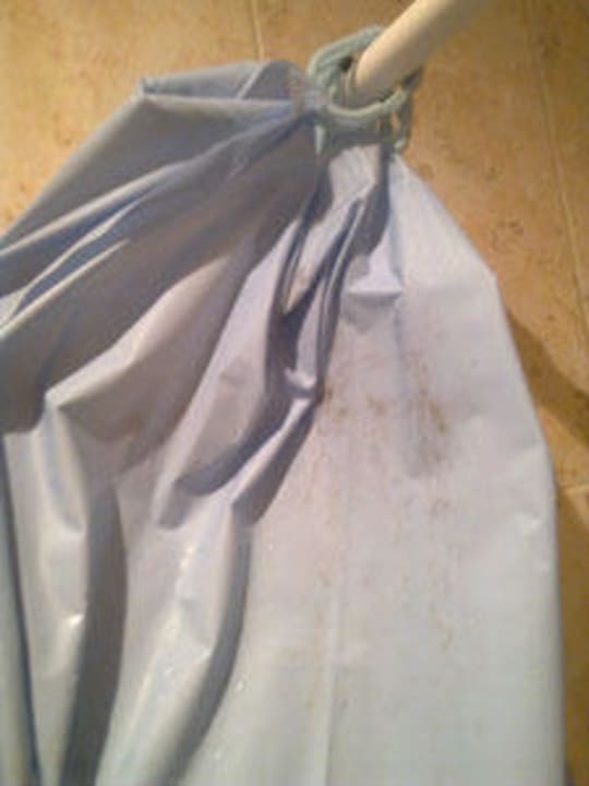 Verschimmelter Duschvorhang Coral