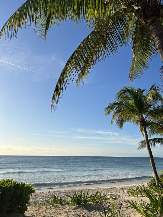 Strand Akumal Bay Beach & Wellness Resort
