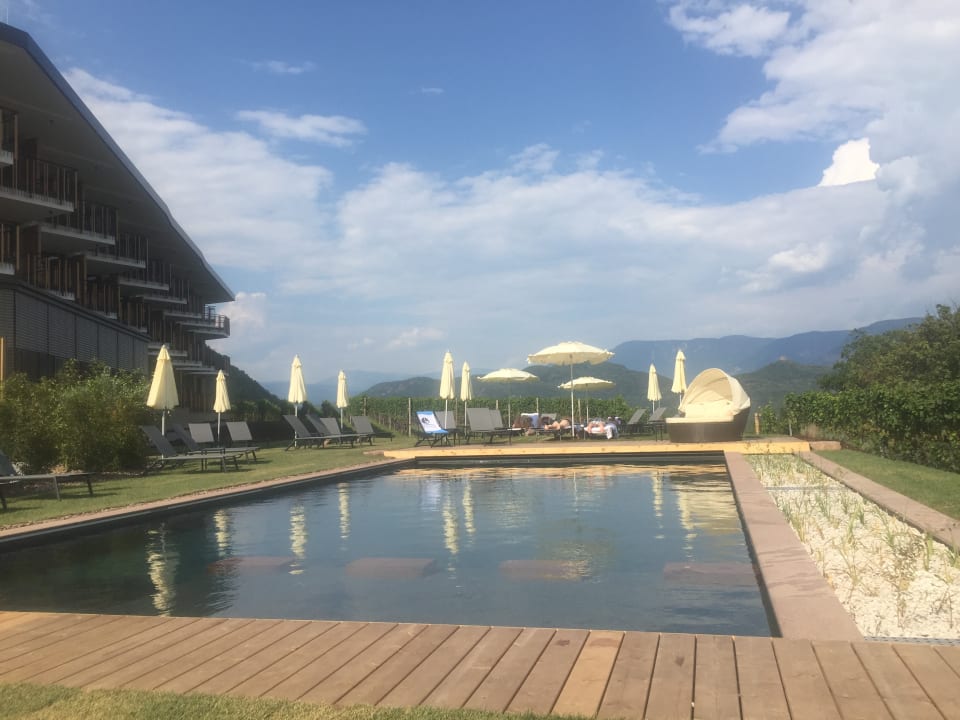 Gartenanlage Hotel Plattenhof