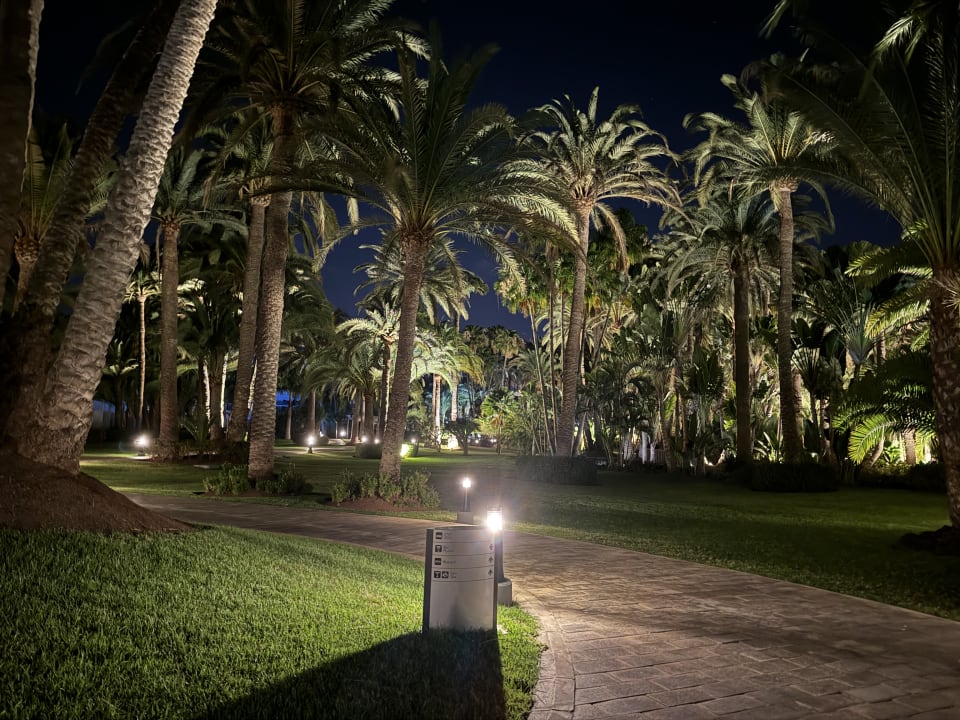 Außenansicht Hotel Riu Palace Oasis