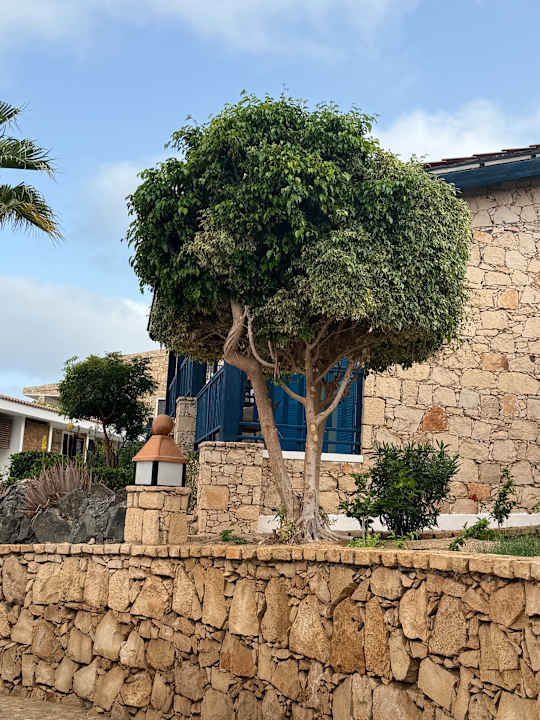 Außenansicht Barceló Marine Boa Vista - Adults Only