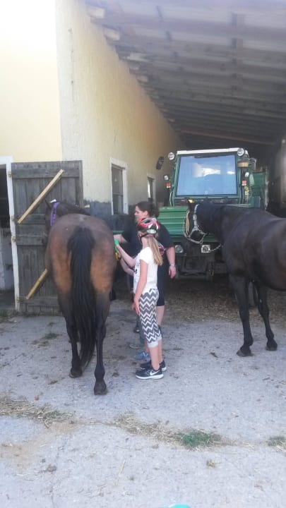 Vor dem Reiten Ferienhof Neudeck
