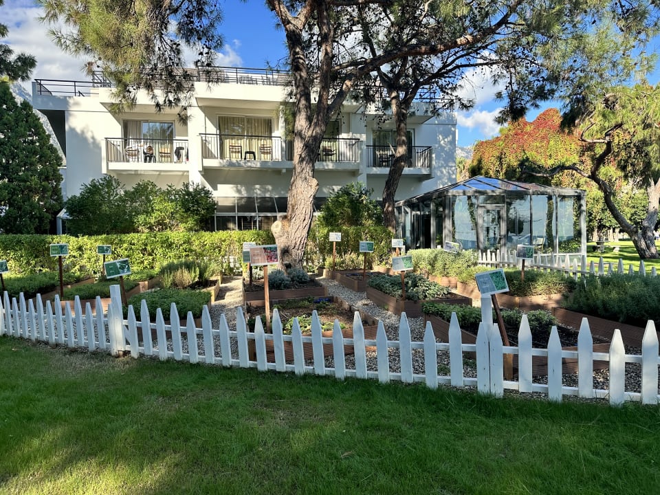 Gartenanlage TUI MAGIC LIFE Beldibi +16