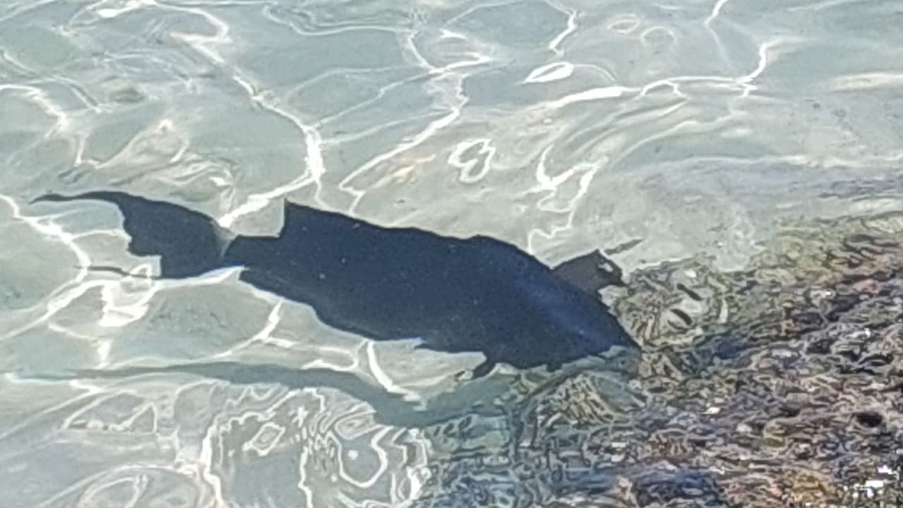Strand Kuramathi Maldives