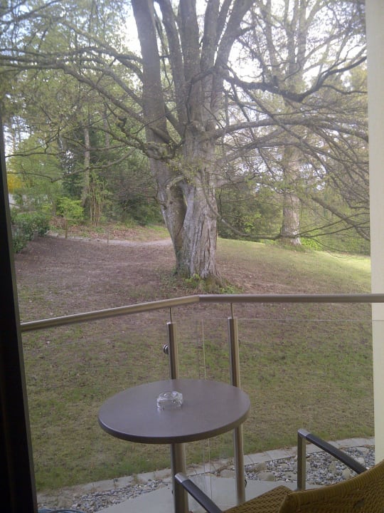 Blick in den Garten Parkhotel St. Leonhard