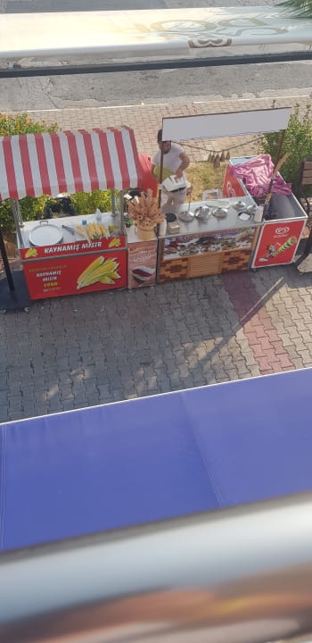 Ausblick Dream Family Club