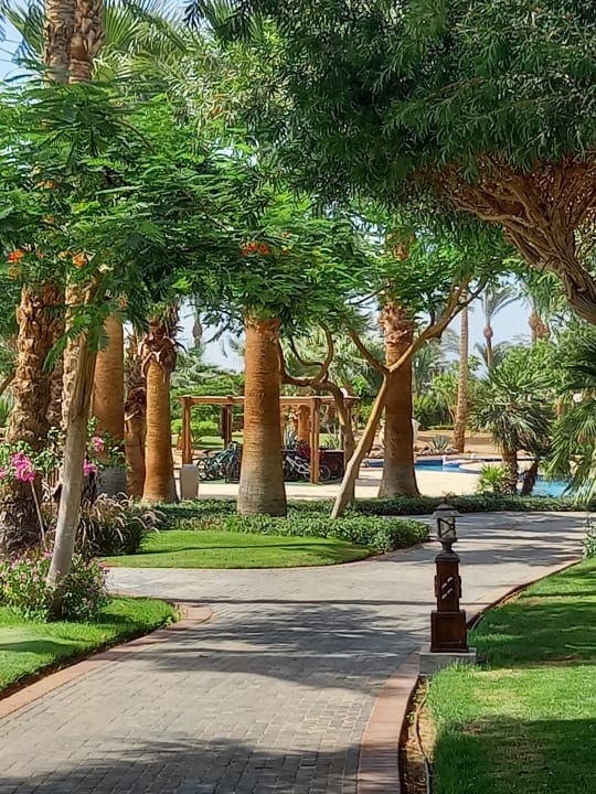 Gartenanlage Steigenberger ALDAU Beach Hotel