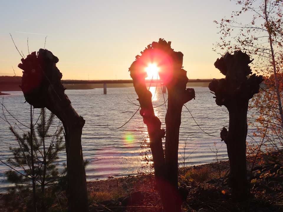 Strand Bio-Seehotel Zeulenroda