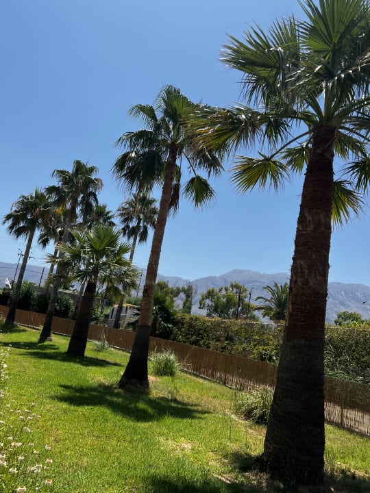 Gartenanlage Delfina Tropic Beach