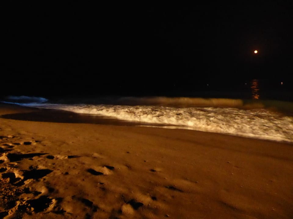 Strand Miramar Al Aqah Beach Resort