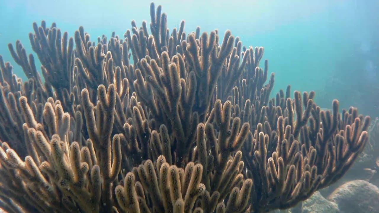 Sport & Freizeit Akumal Bay Beach & Wellness Resort