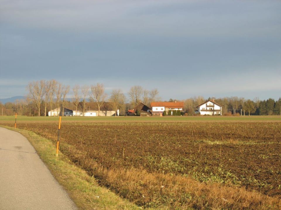 Wieserhof  Aparthotel Der Wieserhof