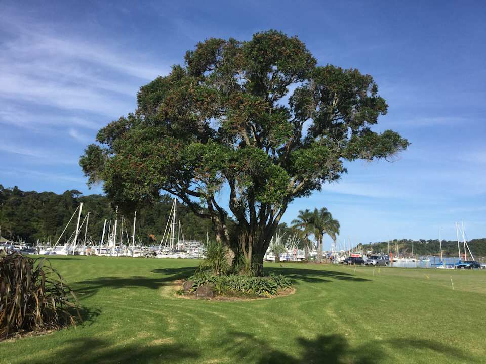 Tutukaka Bay mit kleiner Grünanlage direkt vor dem Hotel Hotel Oceans Tutukaka