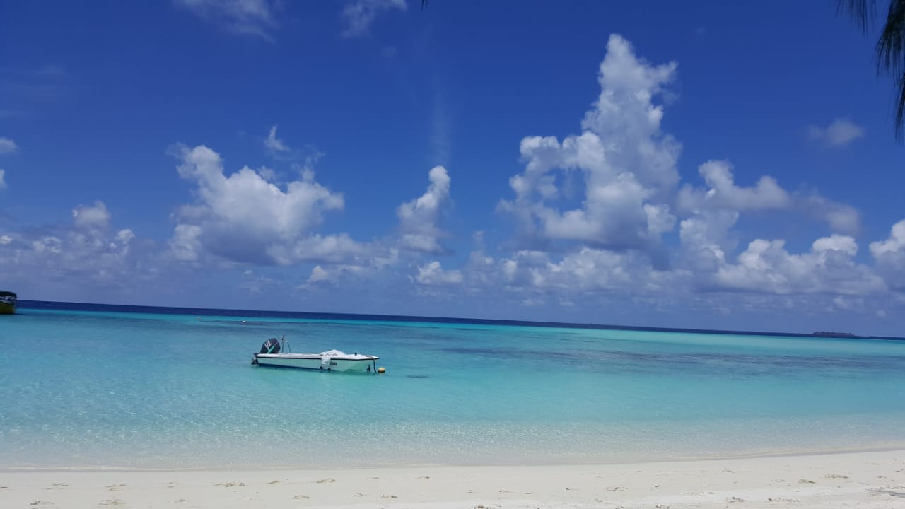 Strand Summer Island Maldives