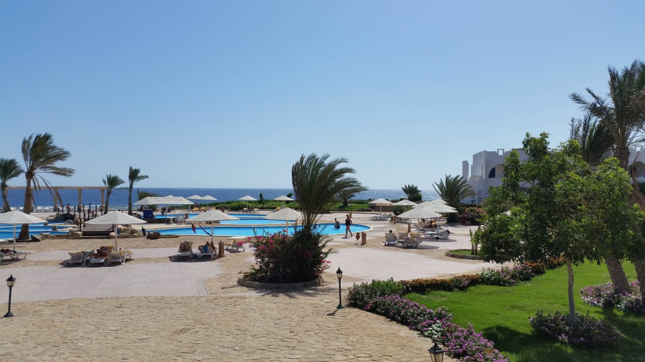 Poolanlage Three Corners Equinox Beach Resort