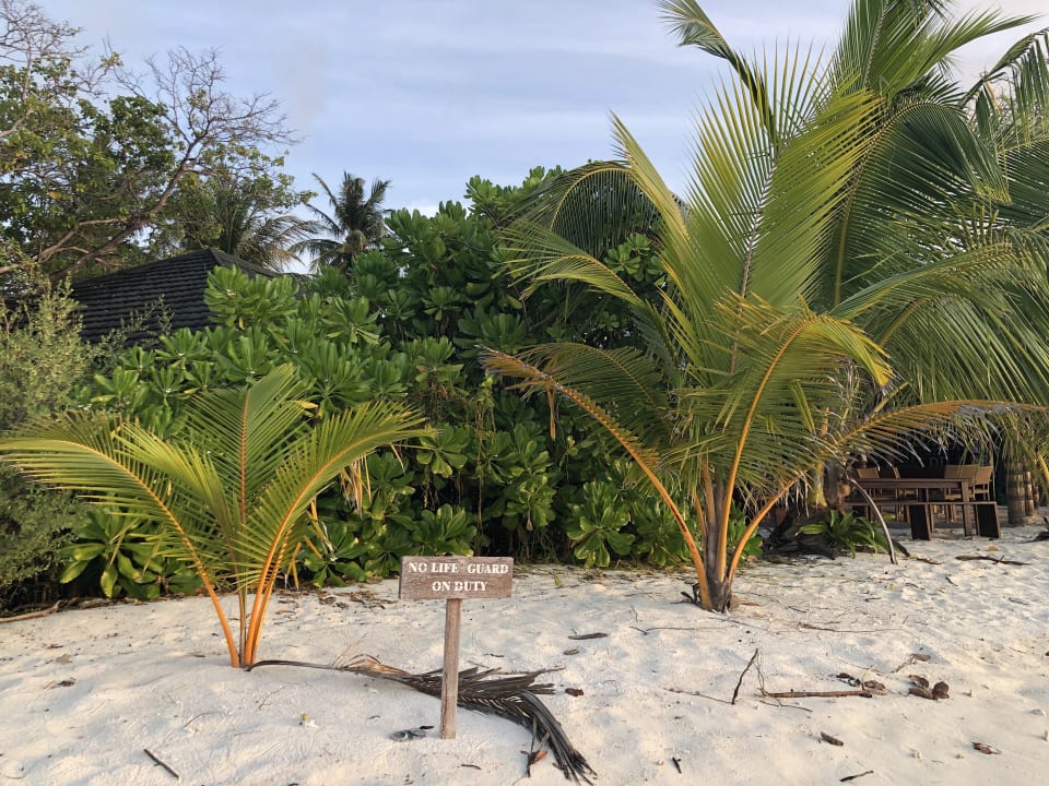 Gartenanlage Adaaran Select Meedhupparu Island Resort - Premium All Inclusive