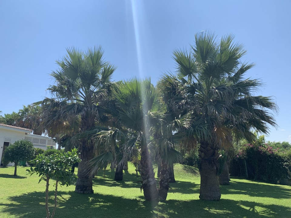 Gartenanlage VONRESORT Golden Beach