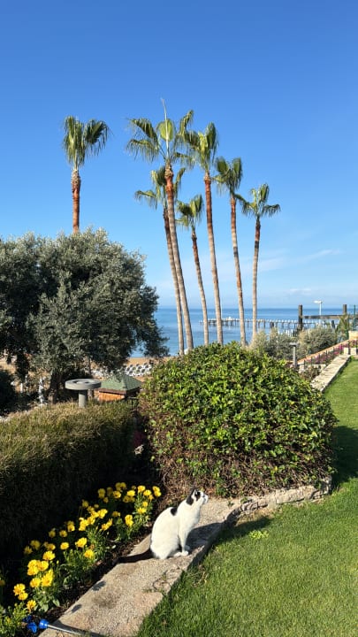 Gartenanlage Arum Barut Collection