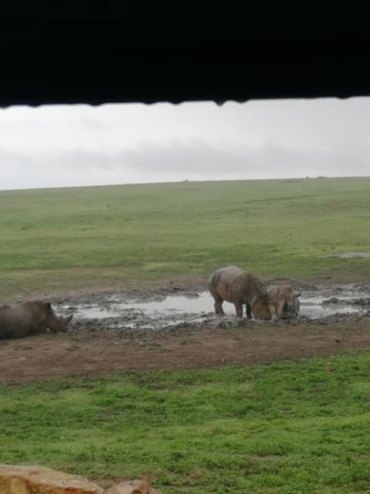 Sonstiges Hotel Garden Route Game Lodge